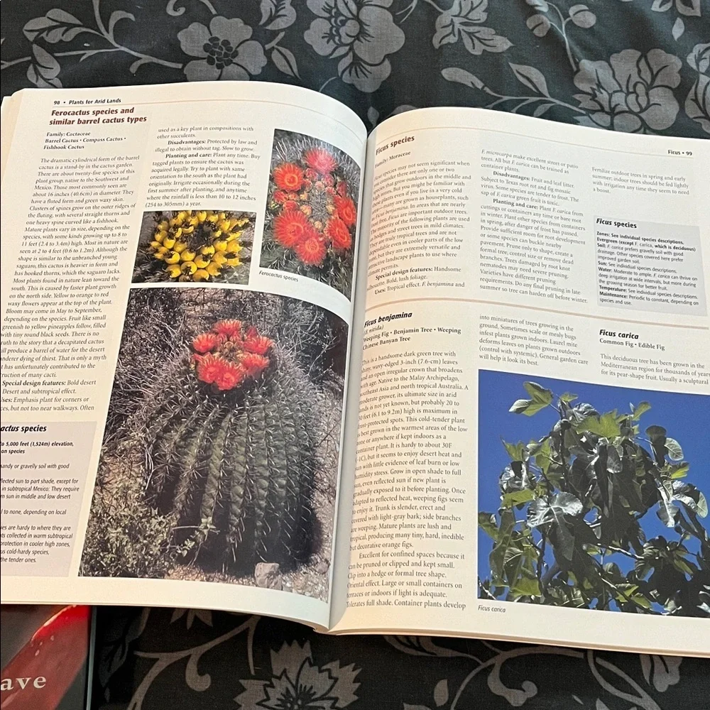 Plants for Dry Climates  and Native Plants for Southwestern Landscapes Bundle